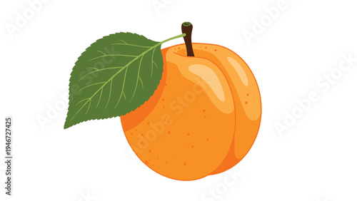 Ripe orange apricot with a velvety skin and a single green leaf is shown against a plain white background in high detail.
