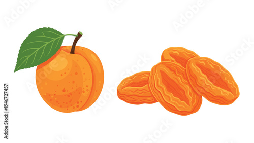 Fresh orange apricot with a leaf is displayed next to a pile of chewy dried apricots on a clean white background.