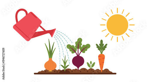 Red watering can pouring water onto growing vegetables like onion, beet, and carrot in a garden under a bright sun.