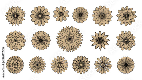 Large assortment of various flower heads in brown tones with detailed petals and centers for pattern and craft designs.