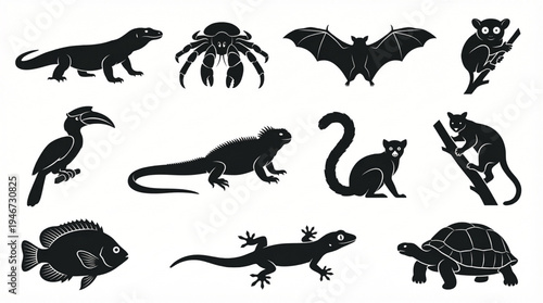 Extensive collection of black vector silhouettes showcasing diverse exotic wildlife, featuring reptiles, mammals, birds, and aquatic creatures for educational purposes