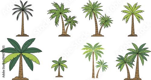Collection of palm tree illustrations in different tropical styles isolated on white background, nature plant vector set for summer beach landscape design decoration