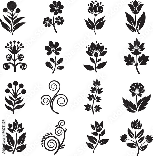 Collection of black floral and swirl on white background flower plant botanical nature