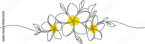 Plumeria flowers in continuous line art drawing style. Group of fragrant tropical plumeria (frangipani, jasmine) flowers. Minimalist black linear sketch on white background. Vector illustration