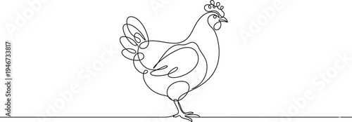 Hen in continuous line art drawing style. Chicken minimalist black linear design isolated on white background. Vector illustration