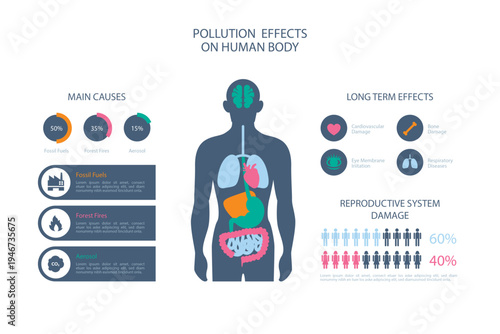 Pollution effects on the human body infographic showing causes and damage
