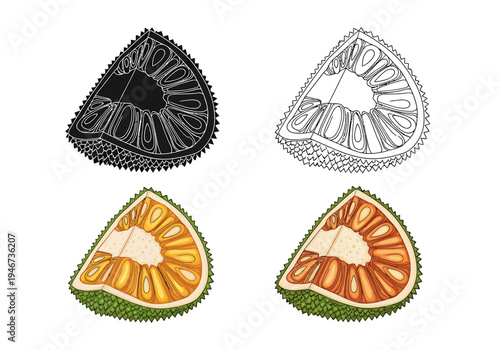Colorful set of tropical jackfruit slices, featuring vibrant outline, silhouette, and full-color illustrations. Perfect exotic fruit icon collection for diverse food graphic designs