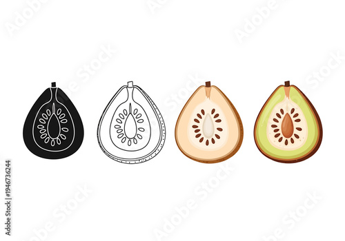 Variety of Salak fruit icons showcasing different styles and cross-sections, perfect for culinary and design applications