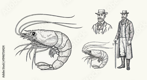 Vintage Illustration of Shrimp and Victorian Gentlemen.
