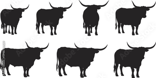 Longhorn bull silhouette vector set, cattle with long horns farm livestock icons collection isolated on white background illustration