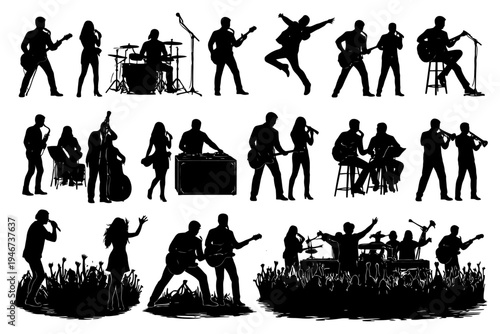 Silhouette band performance: diverse musicians and energetic crowd.