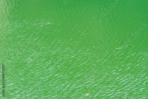 春の日差しで湖水が輝く10