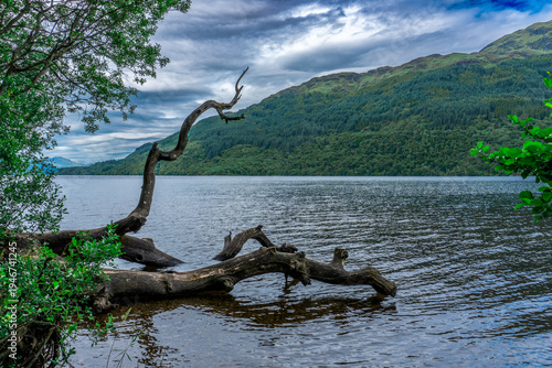 Fotografie A serene landscape at Firkin Point on the shores of Loch Lomond in Scotland
