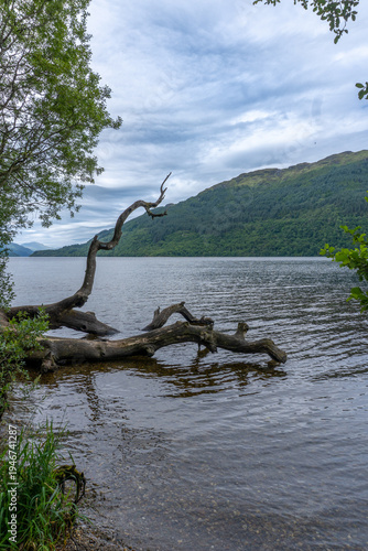 Tableau sur toile A serene landscape at Firkin Point on the shores of Loch Lomond in Scotland