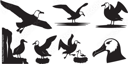 Black Solid Albatross Poses and Flight Silhouettes Set