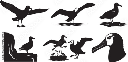Black Solid Albatross Poses and Flight Silhouettes Set