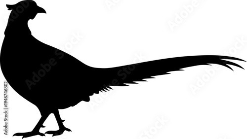 Pheasant Silhouette