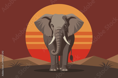 African elephant front view. Elephant in savanna at sunset. Illustration.