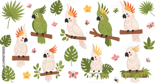 Cute cockatoo parrots sitting on branches with tropical leaves flowers butterflies colorful exotic bird collection flat vector illustration