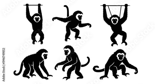 Gibbon Monkey Silhouettes Set: Swinging, Climbing, and Sitting Poses