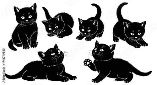 Group of Adorable Black Kittens Playing and Posing in Various Cute Poses