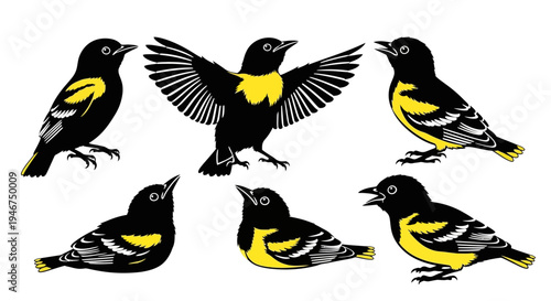 Group of Yellow and Black Birds Illustration