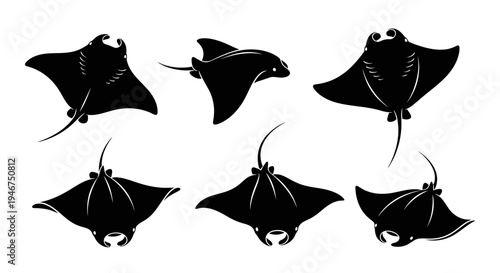 Manta Ray Silhouette Collection: Diverse Poses of Marine Life