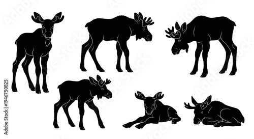 Moose Silhouette Collection: Various Poses of Majestic Wildlife Animals