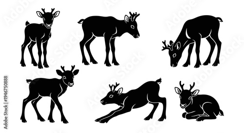 Reindeer Silhouettes Collection: Various Poses of Arctic Animals in Black and White