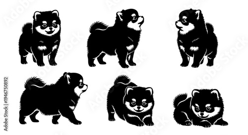 Pomeranian Dog Poses Silhouette Set: Standing, Sitting, Lying Down, Playful