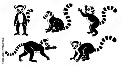 Ring-Tailed Lemur Silhouettes: Set of 5 Poses, Black and White Vector Illustration