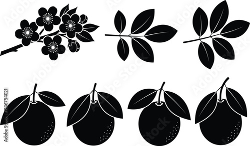 Botanical silhouette vector illustration set featuring flowering branches, leafy stems, and citrus fruits, creative resource for nature, agriculture, gardening, and educational design themes