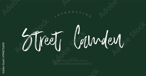 Street Camden, Elegant Script font alphabet uppercase lowercase and number. Classic lettering minimal fashion designs. Typography modern serif fonts regular decorative vintage concept. 