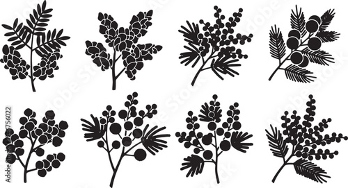 Black Solid Acacia Mimosa Branch Silhouettes Set of Six