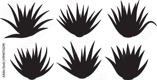Aloe Vera Medicinal Plant Silhouettes