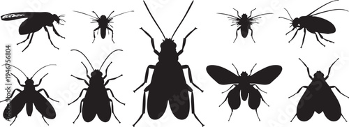 Vector Silhouette Set of Common Household Insects and Pests