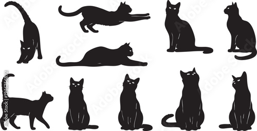 Collection of Domestic Cat Poses Silhouette
