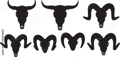 Animal Skull Remains and Bones