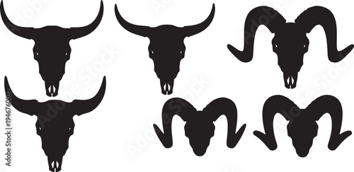 Animal Skull Remains and Bones