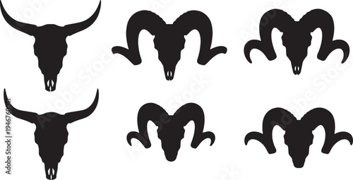 Animal Skull Remains and Bones