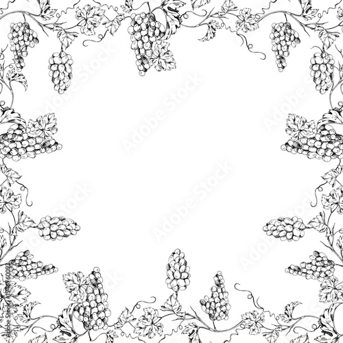 Botanical grapevine square frame with intertwined tendrils, leaves and grape bunches on curling creepers. Hand drawn ink vector illustration. Vineyard weddings, wine packaging, menu cover borders.