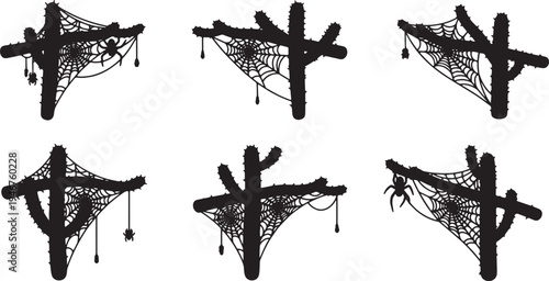 Arachnid Webs on Cactus Branches