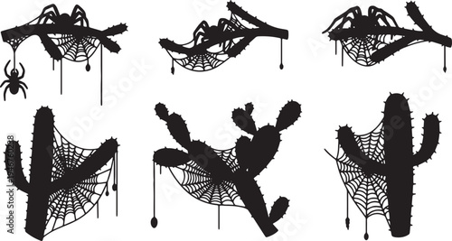 Arachnid Webs on Cactus Branches