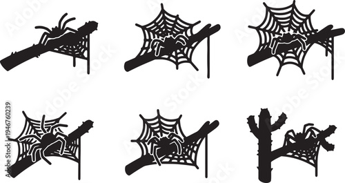 Arachnid Webs on Cactus Branches