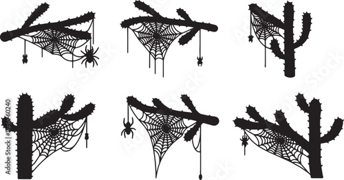 Arachnid Webs on Cactus Branches