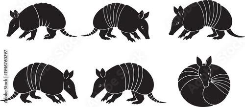 Armadillo Walking and Curled Poses