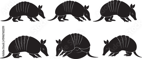 Armadillo Walking and Curled Poses