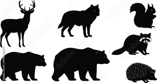 Wild animal silhouettes, forest creatures, black outline, deer, wolf, bear, raccoon, squirrel, hedgehog, nature icon, isolated, wildlife, mammal shape