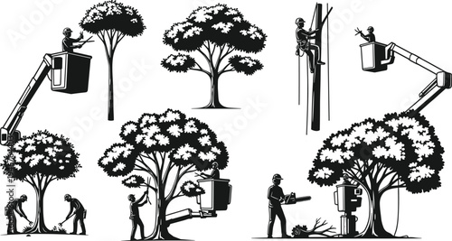 Tree maintenance illustration, arborist work, pruning scene, bucket truck, chainsaw trimming, safety gear, landscaping vector, silhouette, outdoor care, sketch