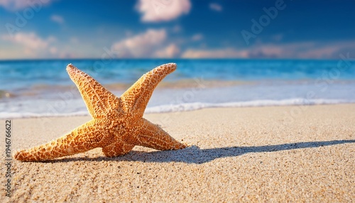 tropical ocean starfish rests peacefully on the sandy summer beach shore near the sea water